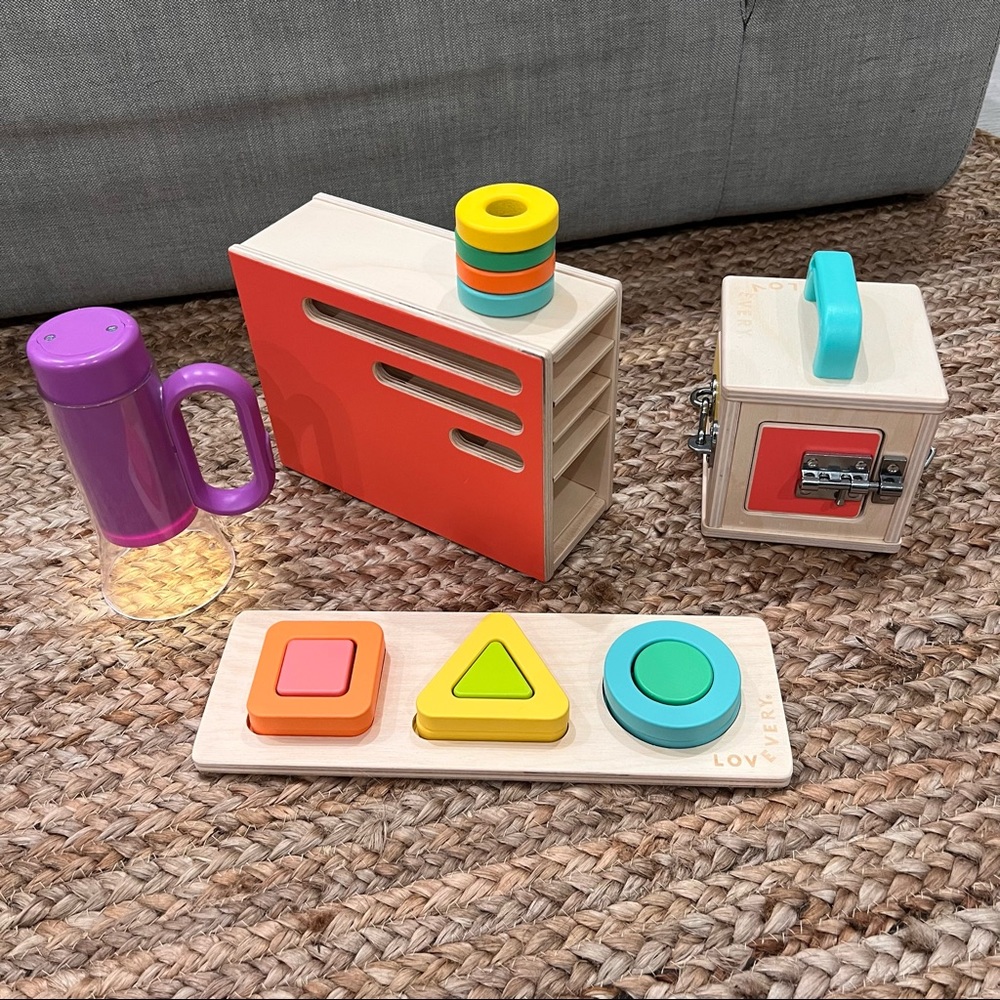 Several Items from Lovevery Realist Playkit